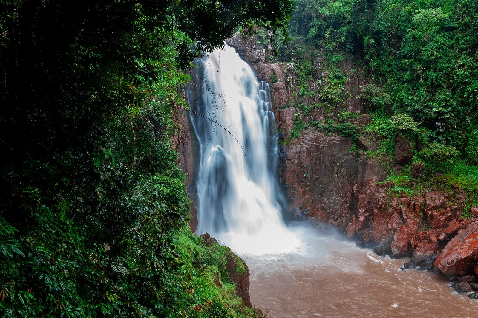 Parco Nazionale del Khao Yai: trekking, cascate e fauna