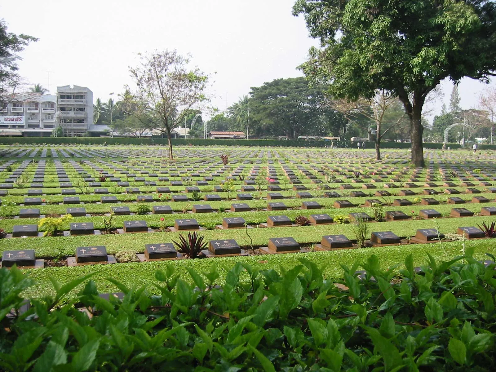 Le file di tombe del cimitero di guerra di Kanchanaburi File di tombe del Kanchanaburi War Cemetery, il cimitero dei prigionieri di guerra costruttori della Death Railway in Thailandia