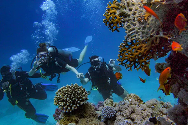 diving in thailandia