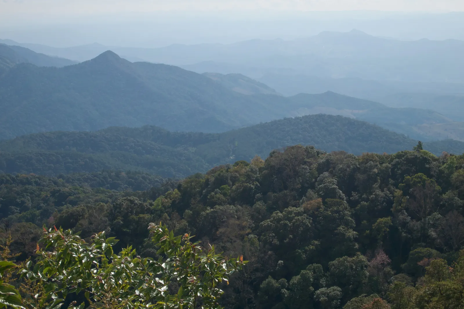 Montagne del Doi Inthanon, Chiang Mai Montagne del Doi Inthanon vicino a Chiang Mai con foreste rigogliose nel nord della Thailandia