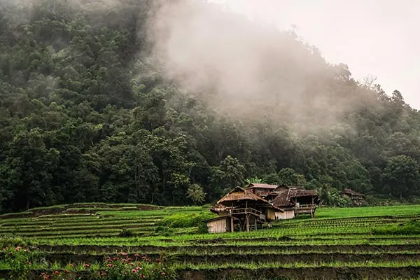 Chiang Mai risaie a Chiang Mai e la Thailandia del Nord