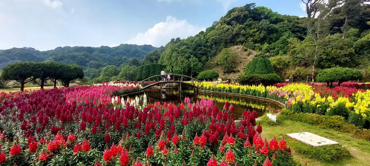 Doi Inthanon: cosa vedere sul tetto della Thailandia