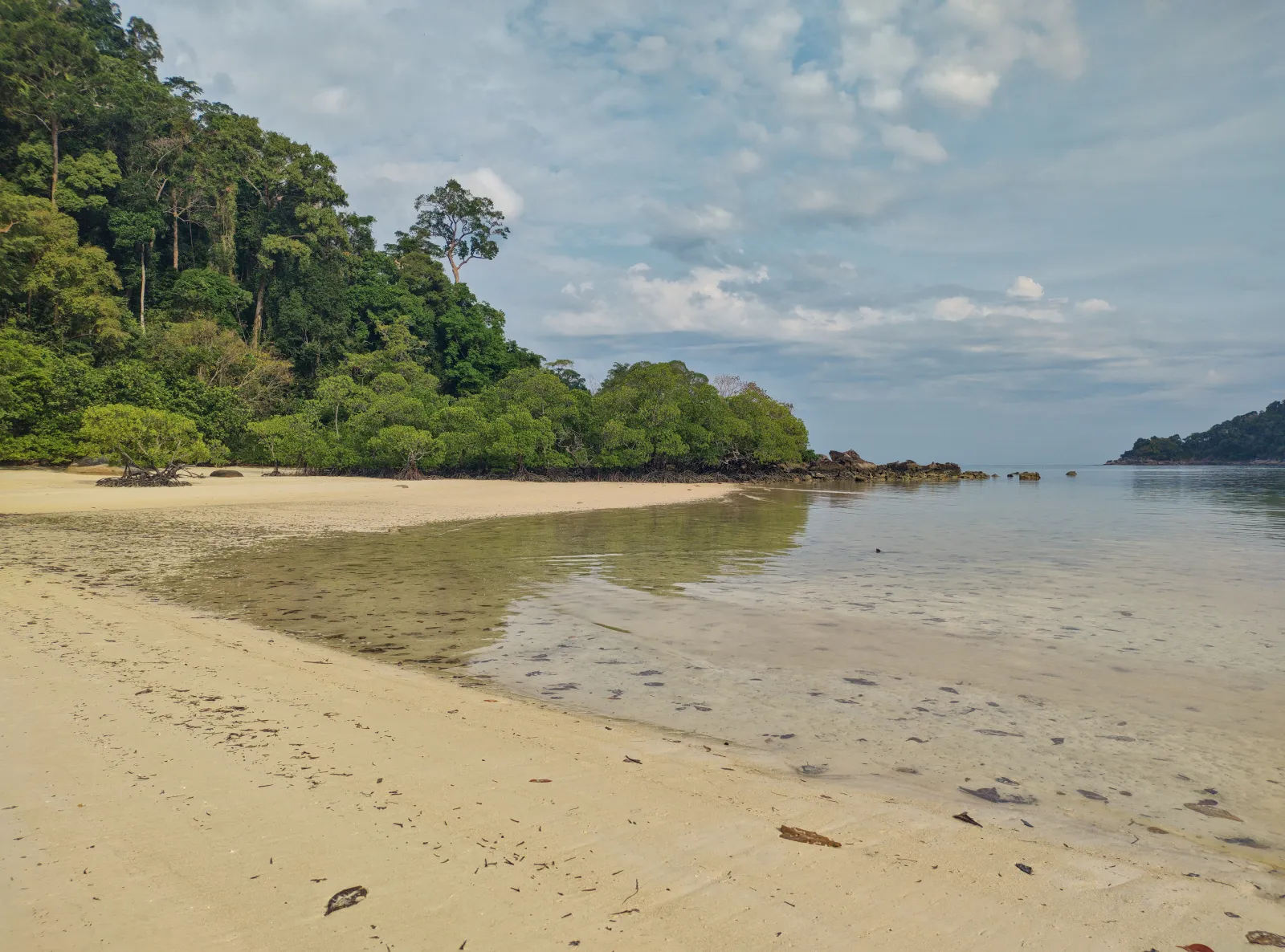 Spiaggia delle Isole Surin Spiaggia di sabbia chiara con mare poco profondo e foresta tropicale alle Isole Surin nel parco nazionale marino della Thailandia