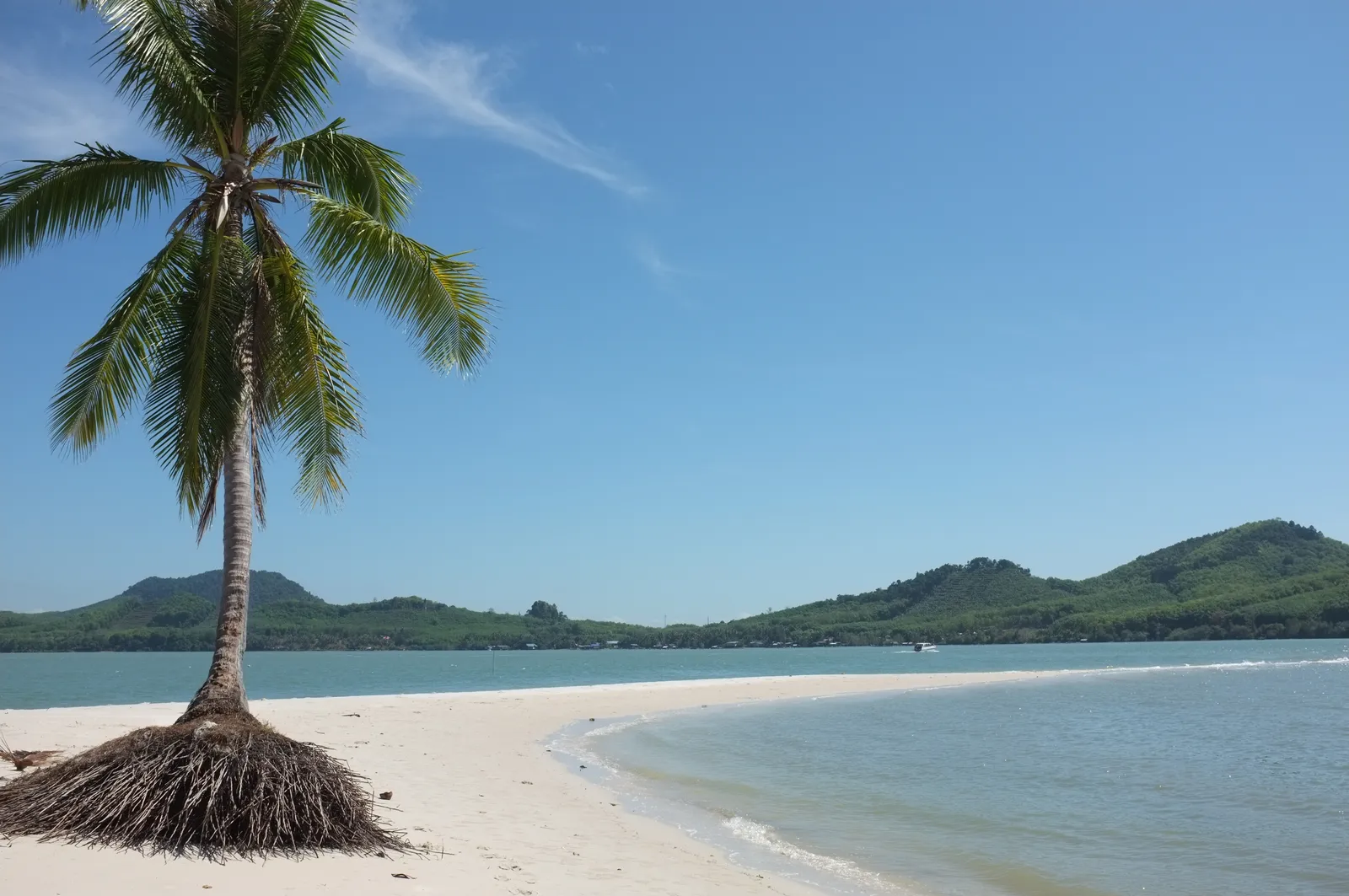 Spiaggia con palma e sabbia bianca a Koh Yao Yai, isola tranquilla della baia di Phang Nga
