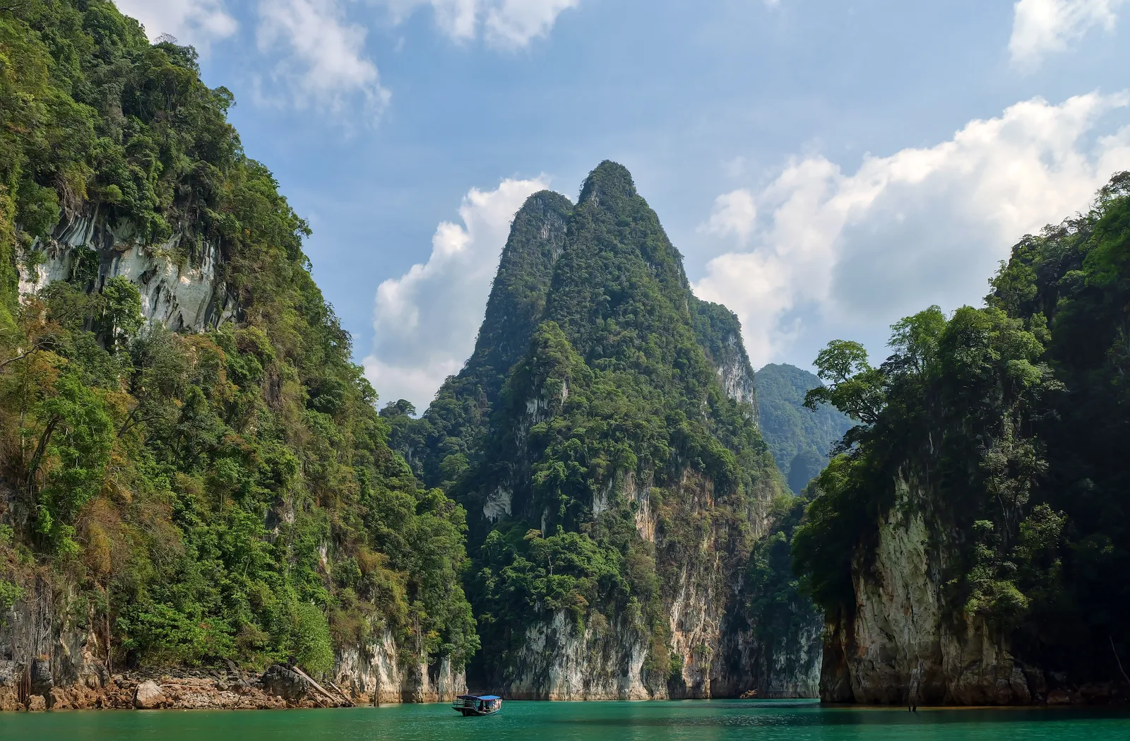 La riva del lago Cheow Lan nel parco nazionale di Khao Sok, Thailandia
