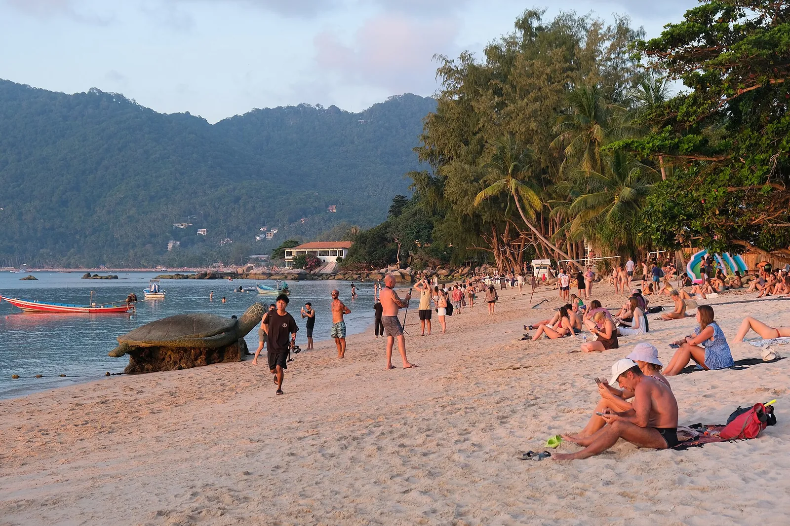 Mae Haad Beach, Koh Tao Spiaggia di Mae Haad a Koh Tao con acqua cristallina e barche tradizionali