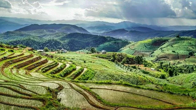 Risaie a terrazze nel Nord della Thailandia Risaie a terrazze tra le montagne verdi del Nord della Thailandia, intorno a Chiang Mai