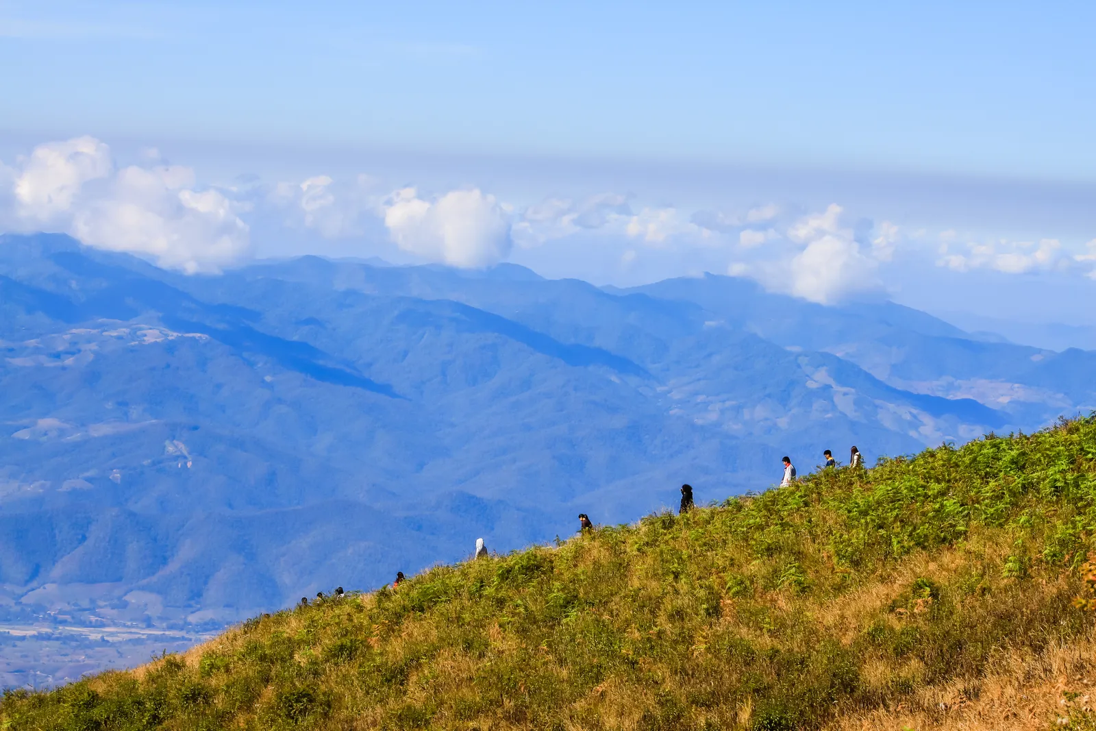 Il sentiero Kew Mae Pan Sentiero Kew Mae Pan nella foresta di nuvole del parco nazionale di Doi Inthanon