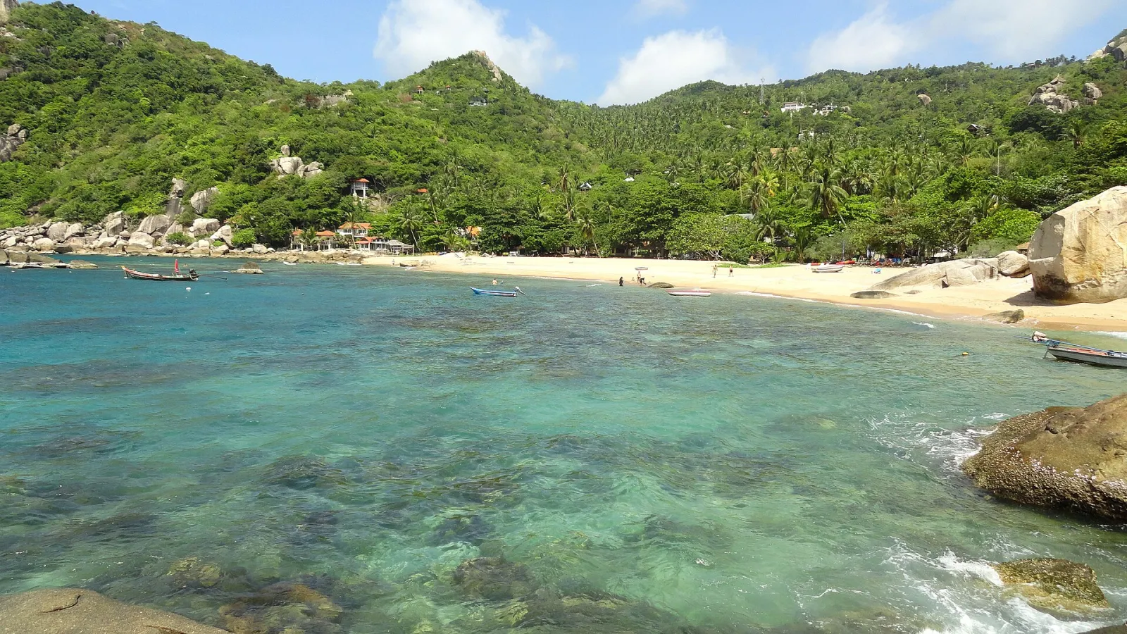 Tanote Bay, snorkeling da riva a Koh Tao Tanote Bay a Koh Tao, una delle spiagge migliori per lo snorkeling da riva in Thailandia, con mare poco profondo e fondali corallini
