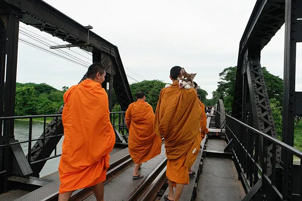 monaci a passeggio sul ponte sul fiume Kwai