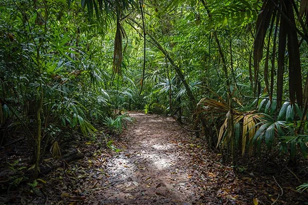 percorso di trekking nel Parco Sai Yok